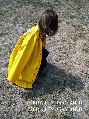 cover image of Hera Lindsay Bird